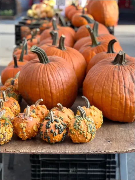 Detail Fall Harvest Decor Pumpkins Gourds Number 10