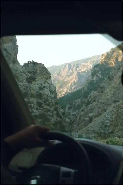 Detail Family Road Trip Car Interior View Number 9