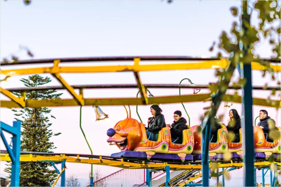 Detail Family Theme Park Ride Excitement Candid Number 11