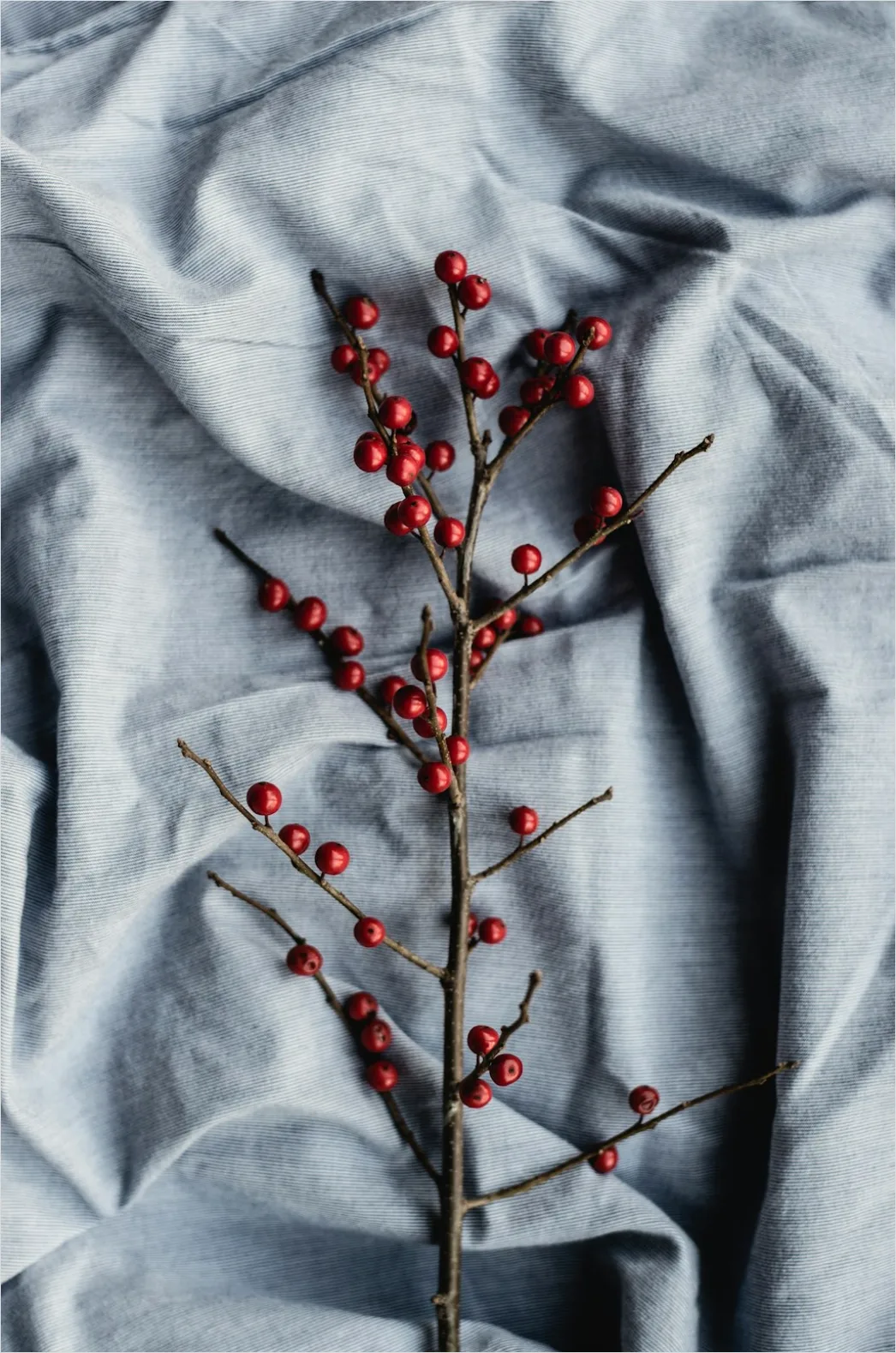 Detail Food Styling Rustic Linen Background Flat Lay Number 7
