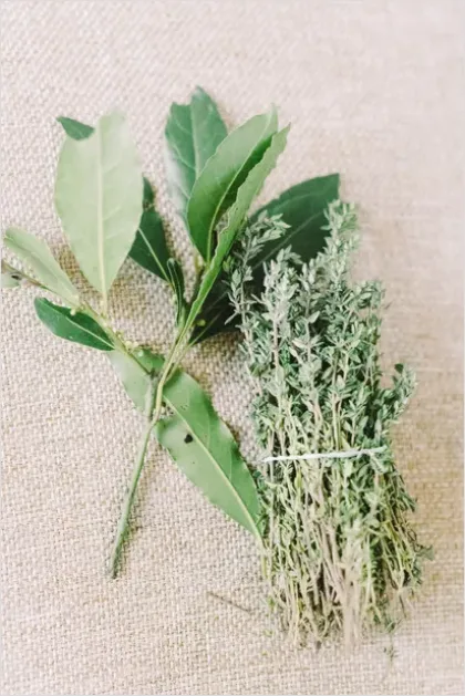 Fresh Herbs Bundle Tied String E5e9