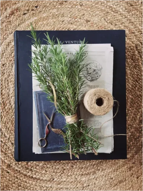 Detail Fresh Herbs Bundle Tied String Number 3
