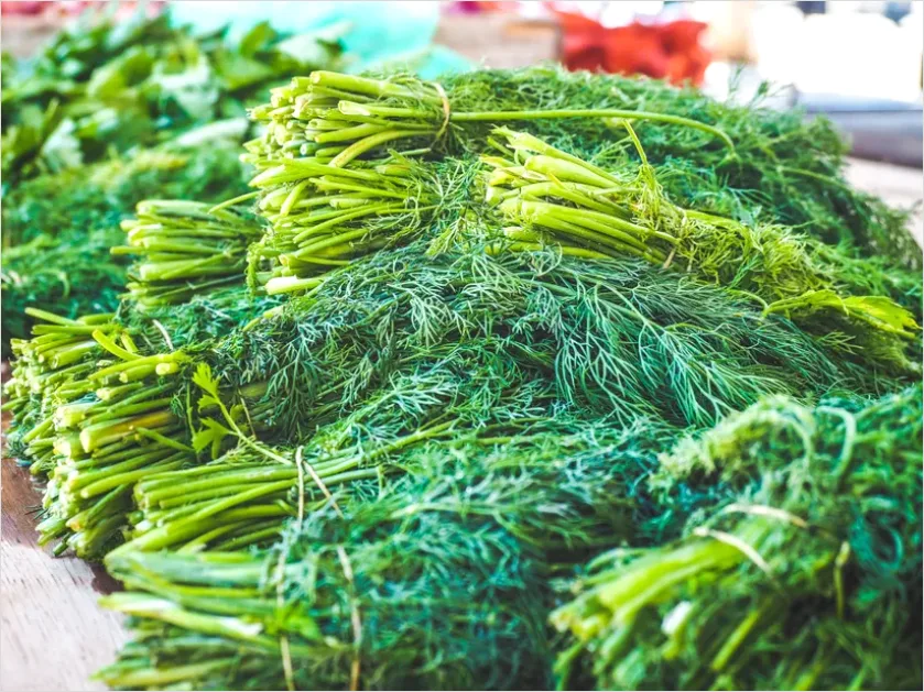 Detail Fresh Herbs Bundle Tied String Number 4