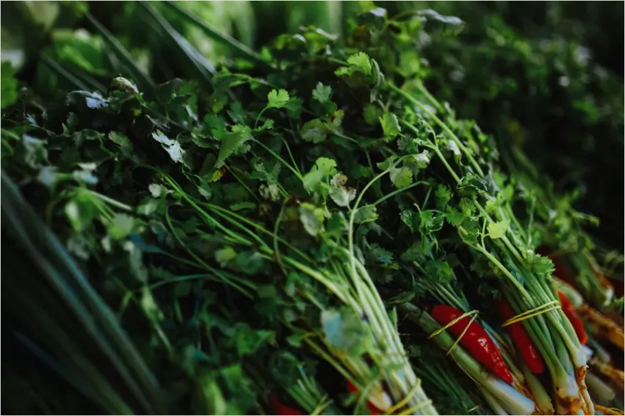 Detail Fresh Herbs Bundle Tied String Number 5