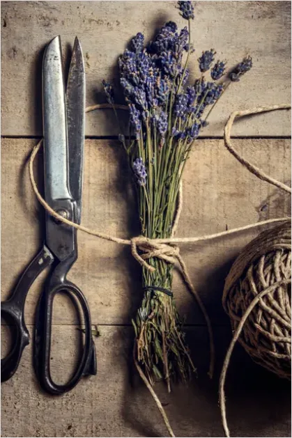 Detail Fresh Herbs Bundle Tied String Number 6