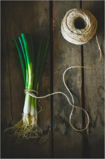 Detail Fresh Herbs Bundle Tied String Number 7