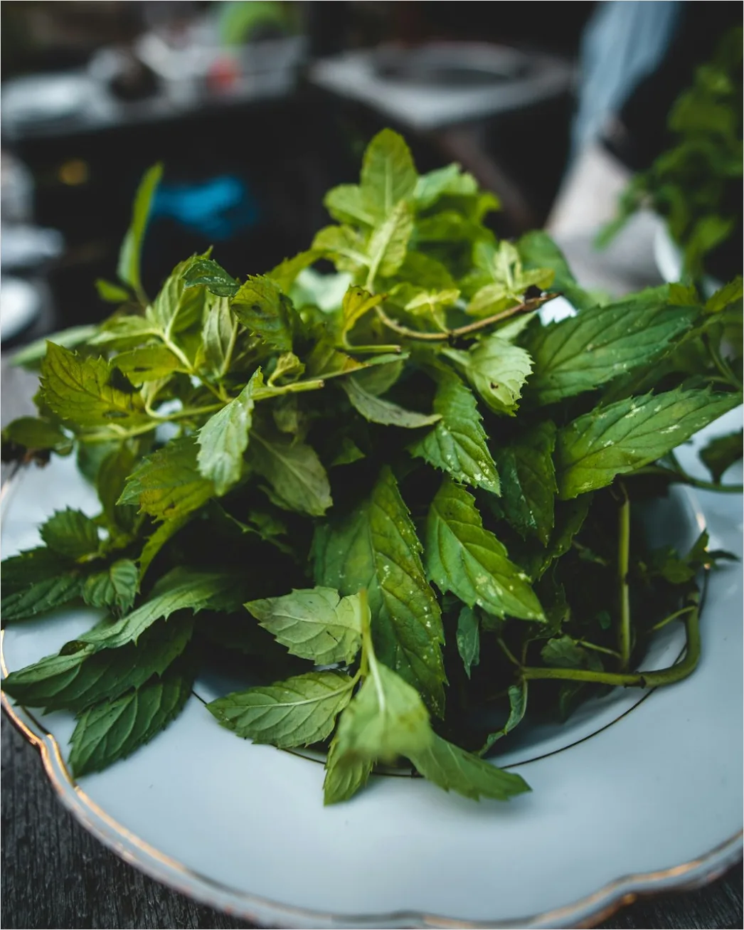 Detail Fresh Herbs Garnish Plating Close Up Number 15