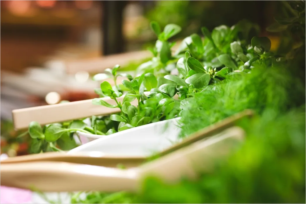 Detail Fresh Herbs Garnish Plating Close Up Number 16