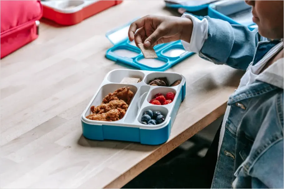 Detail Healthy Snacks For Kids Bento Number 8