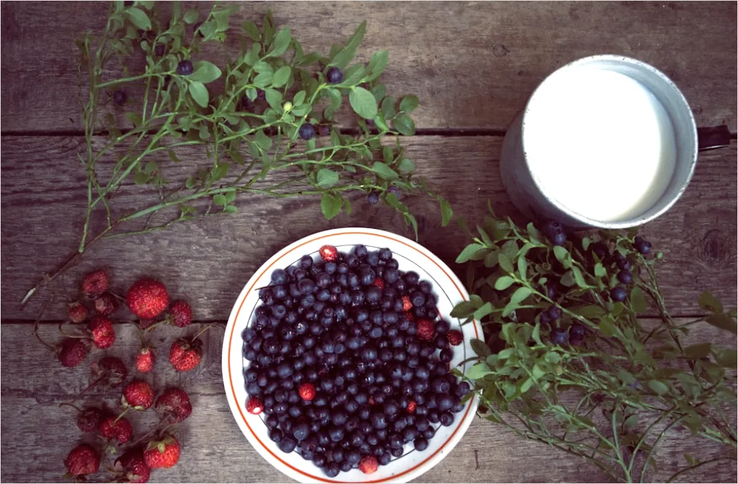 Detail High Protein Snack Yogurt Berries Number 3