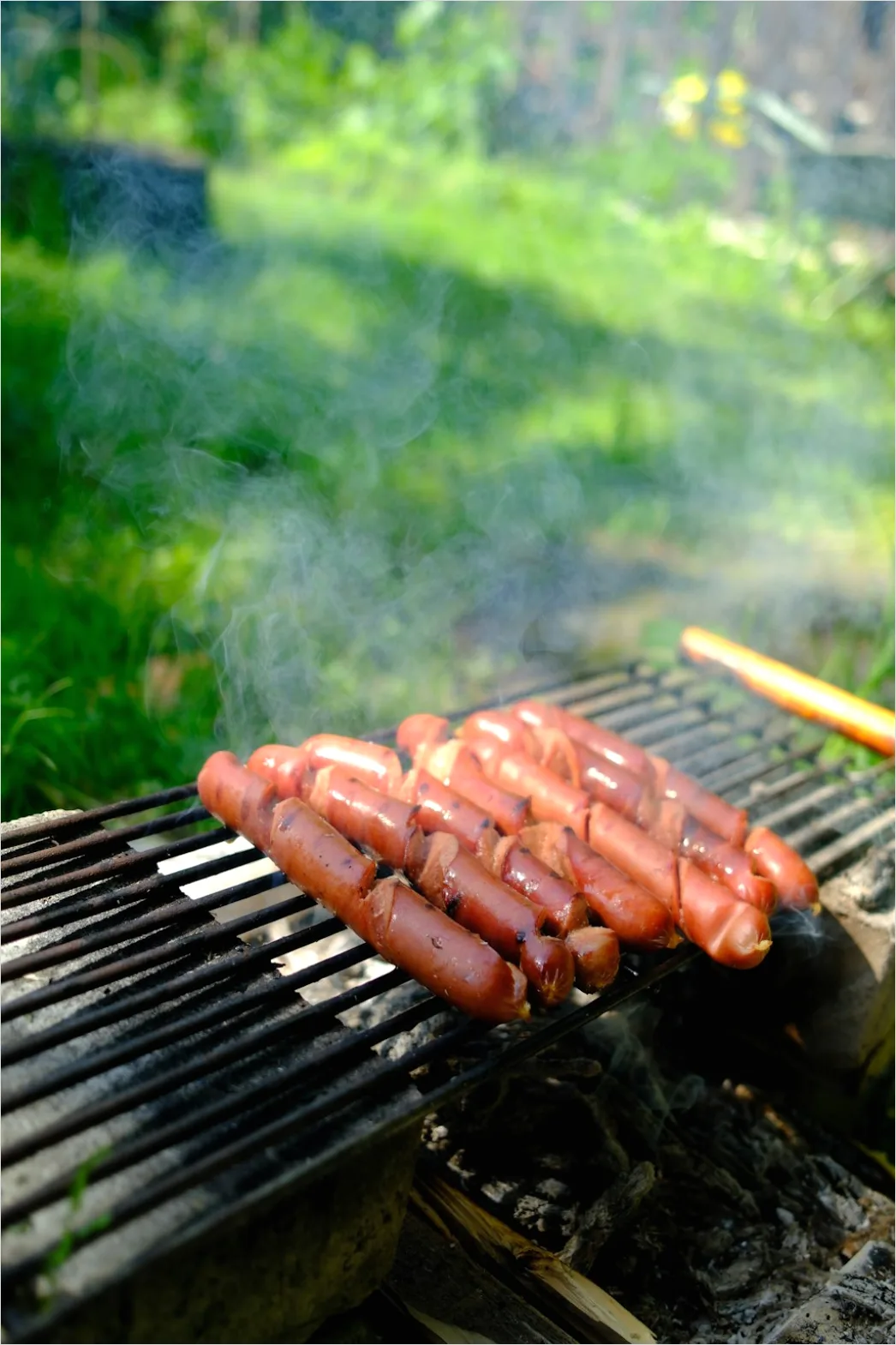 Detail Hot Dogs On Grill Backyard Party Number 2