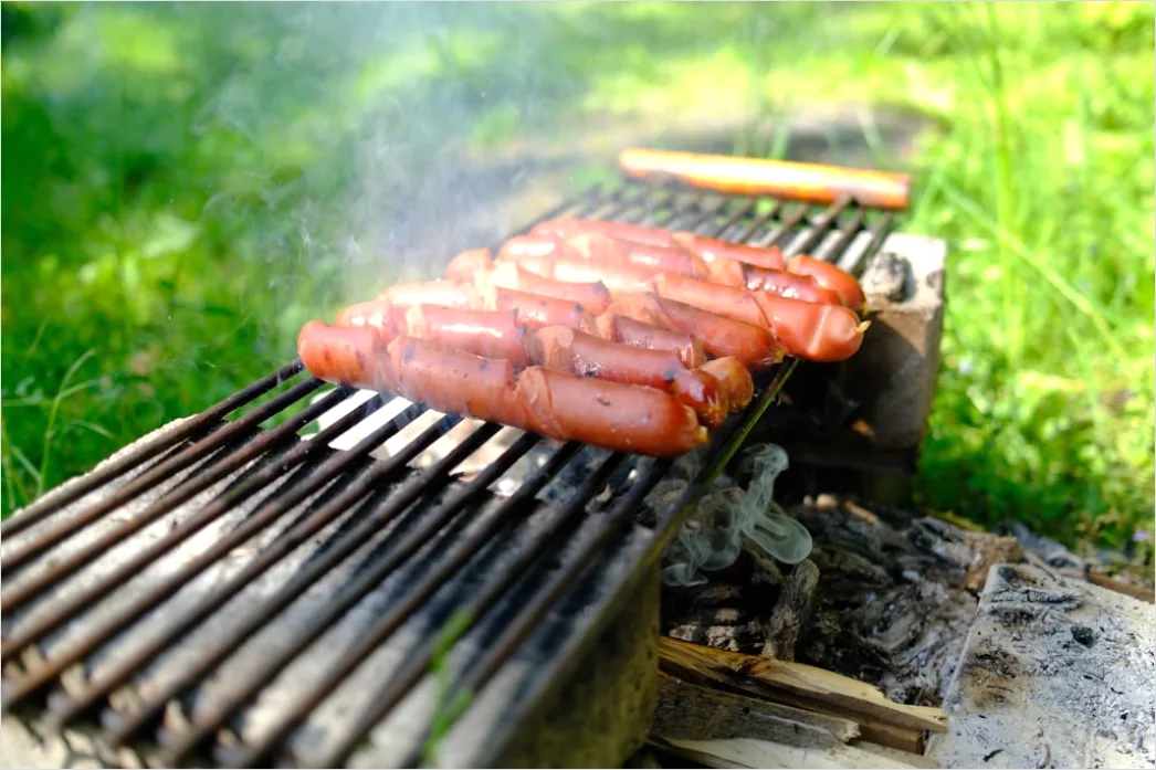 Detail Hot Dogs On Grill Backyard Party Number 5