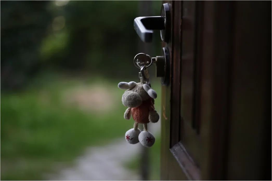 Detail House Keys On Keyring Number 12