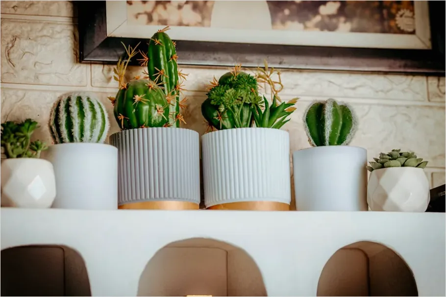 Detail Houseplant Pot On Shelf Number 2