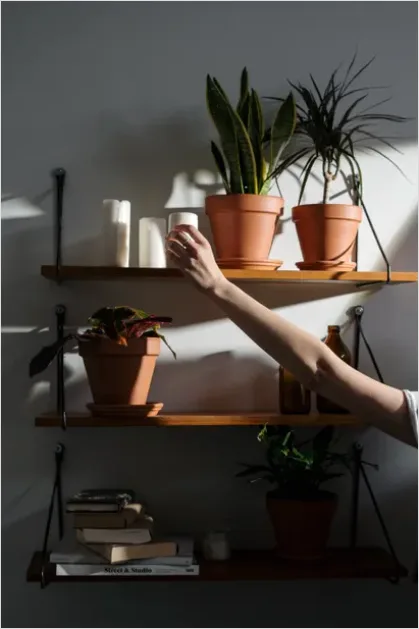 Detail Houseplant Pot On Shelf Number 16