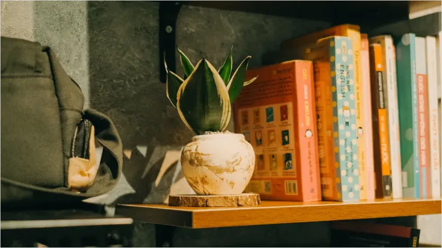 Detail Houseplant Pot On Shelf Number 4