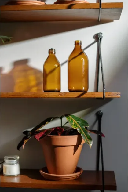 Detail Houseplant Pot On Shelf Number 6