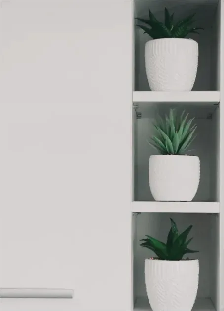 Detail Houseplant Pot On Shelf Number 9