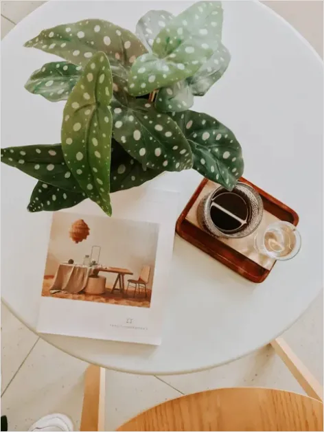 Detail Magazine On Coffee Table Number 5