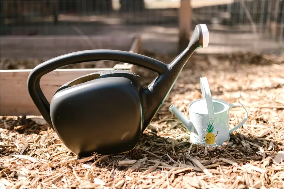 Detail Plant Watering Can Metal Number 2