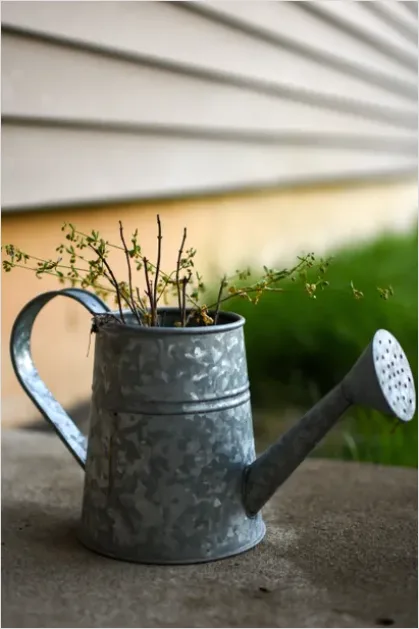 Detail Plant Watering Can Metal Number 11
