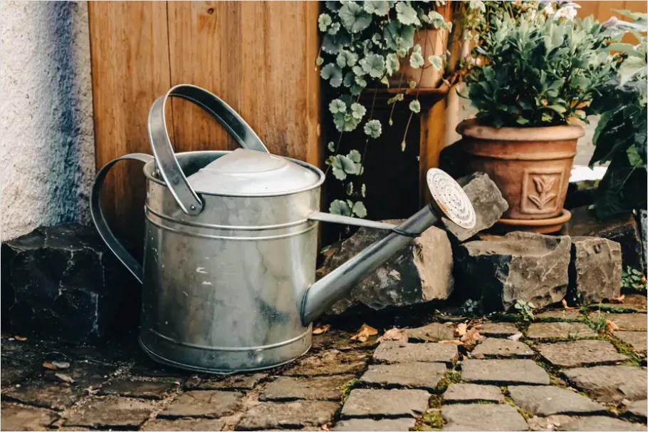 Detail Plant Watering Can Metal Number 12