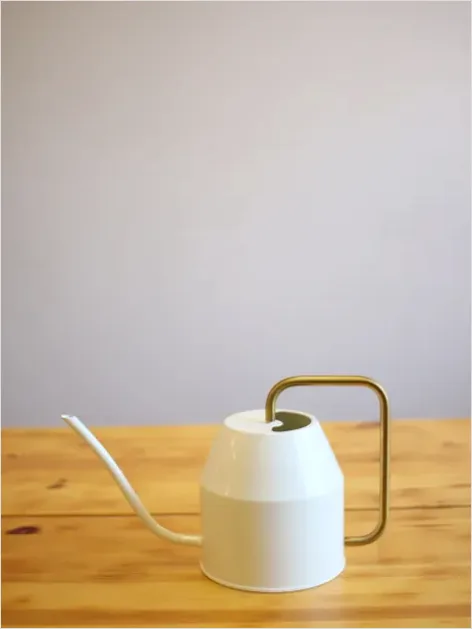 Detail Plant Watering Can Metal Number 13