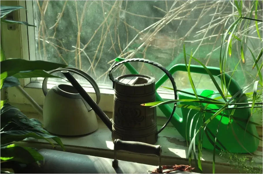 Detail Plant Watering Can Metal Number 3