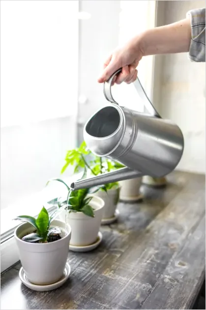 Detail Plant Watering Can Metal Number 5