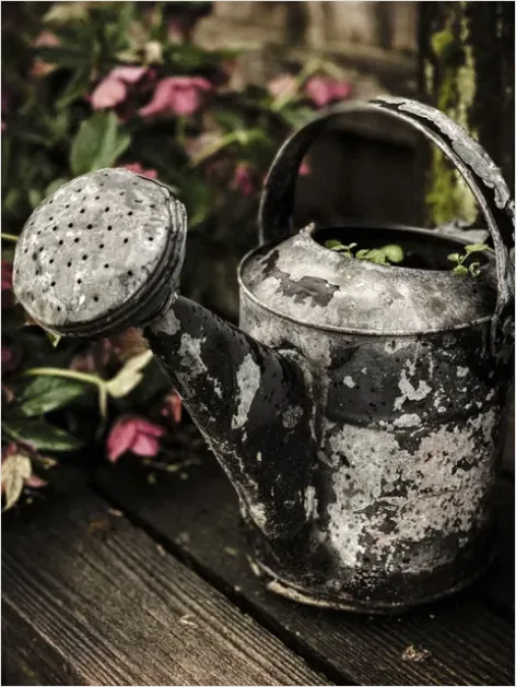 Detail Plant Watering Can Metal Number 6