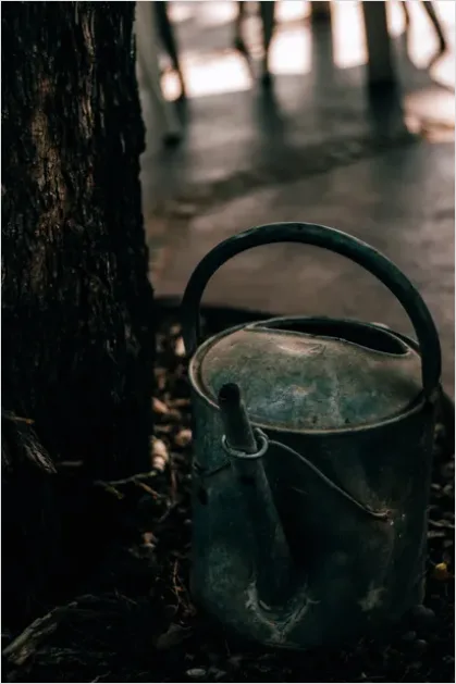 Detail Plant Watering Can Metal Number 9