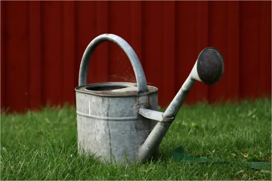 Detail Plant Watering Can Metal Number 10