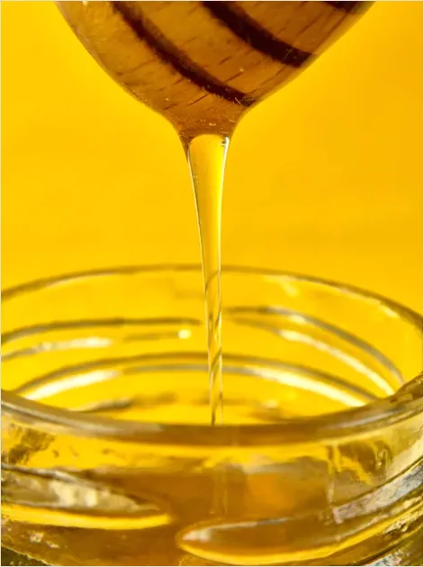 Detail Pouring Syrup Slow Motion Drip Moment Number 9