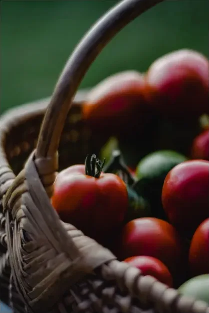 Detail Ripe Tomatoes Basket Farmers Market Number 2