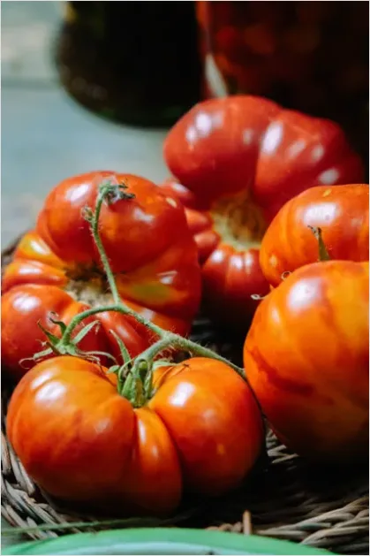 Detail Ripe Tomatoes Basket Farmers Market Number 11