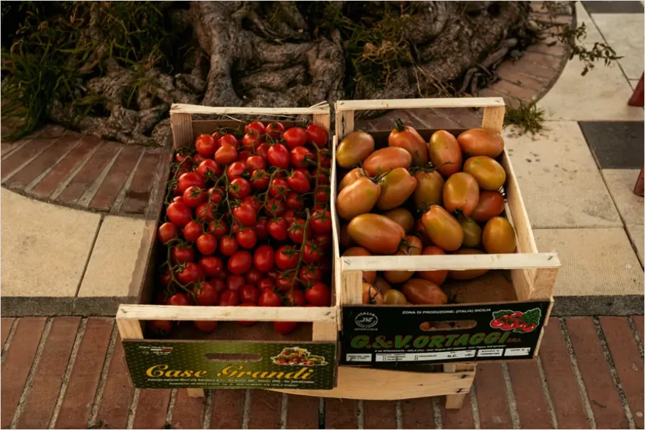 Detail Ripe Tomatoes Basket Farmers Market Number 13