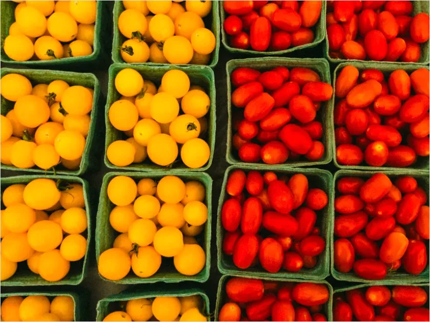 Detail Ripe Tomatoes Basket Farmers Market Number 14