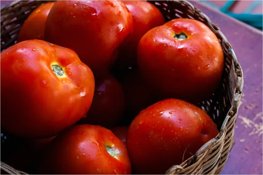 Detail Ripe Tomatoes Basket Farmers Market Number 8