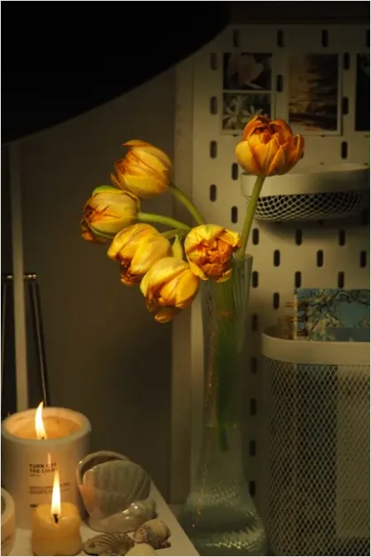 Detail Scented Candles Cozy Aesthetic Number 11