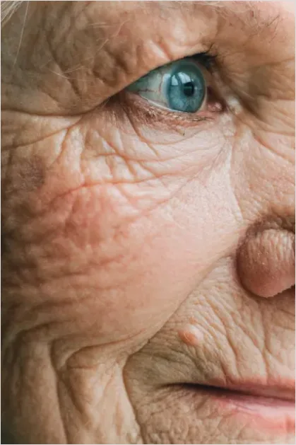 Detail Senior Woman Portrait Smiling Wrinkles Number 14