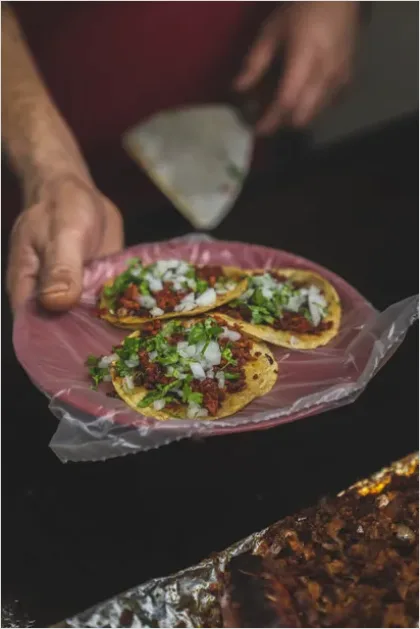 Detail Tacos Al Pastor Street Style Plate Number 5