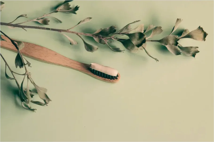 Detail Toothbrush And Toothpaste Flat Lay Number 16
