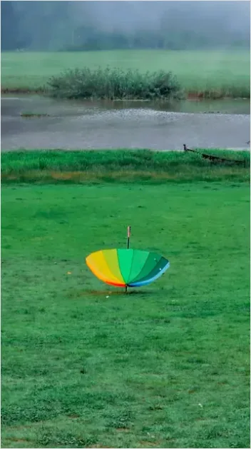 Detail Umbrella On Rainy Day Number 2