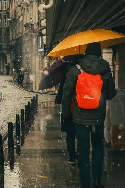 Detail Umbrella On Rainy Day Number 14