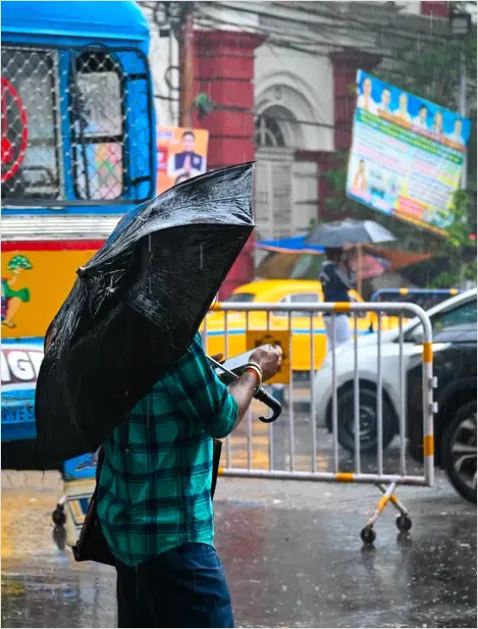 Detail Umbrella On Rainy Day Number 15