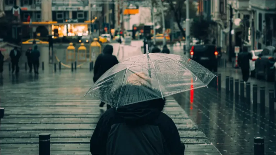 Detail Umbrella On Rainy Day Number 5