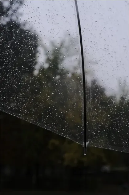 Detail Umbrella On Rainy Day Number 10