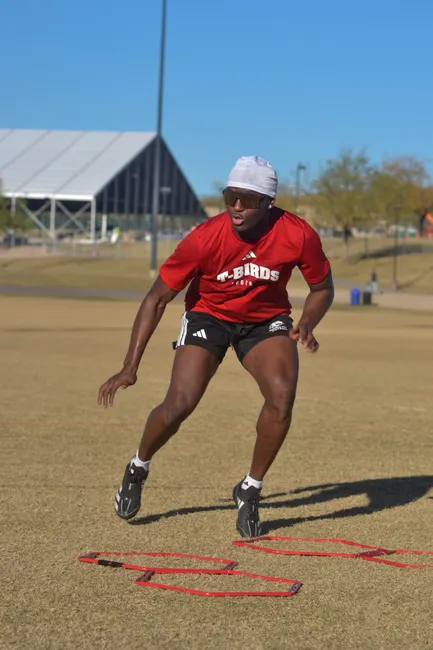 Detail Agility Ladder Drills For Speed Number 4