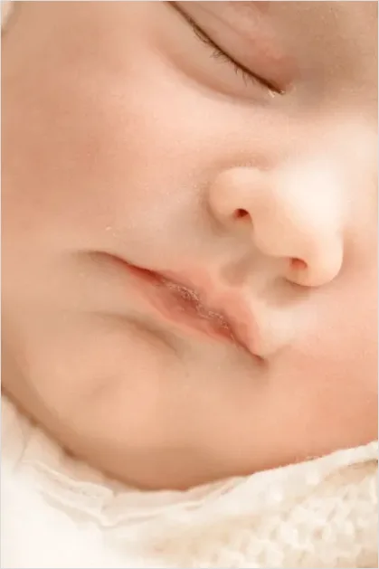 Detail Baby Portrait Sleeping Close Up Number 8