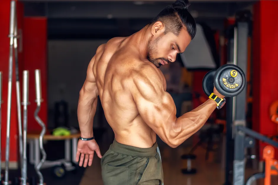Detail Back Workout With Dumbbells Routine Number 2